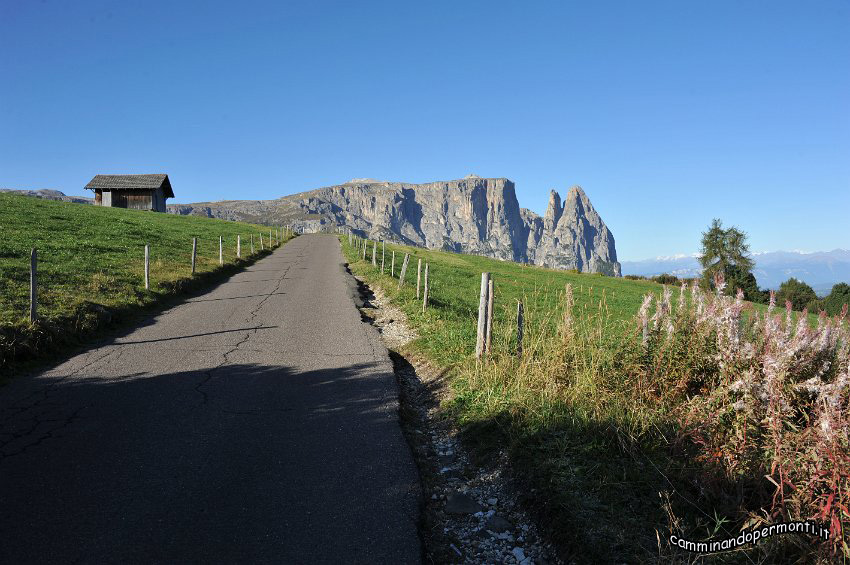 006 Alpe di Siusi - Altipiano dello Sciliar - Punta Sentner.JPG